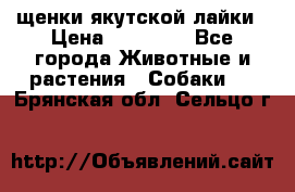 щенки якутской лайки › Цена ­ 15 000 - Все города Животные и растения » Собаки   . Брянская обл.,Сельцо г.